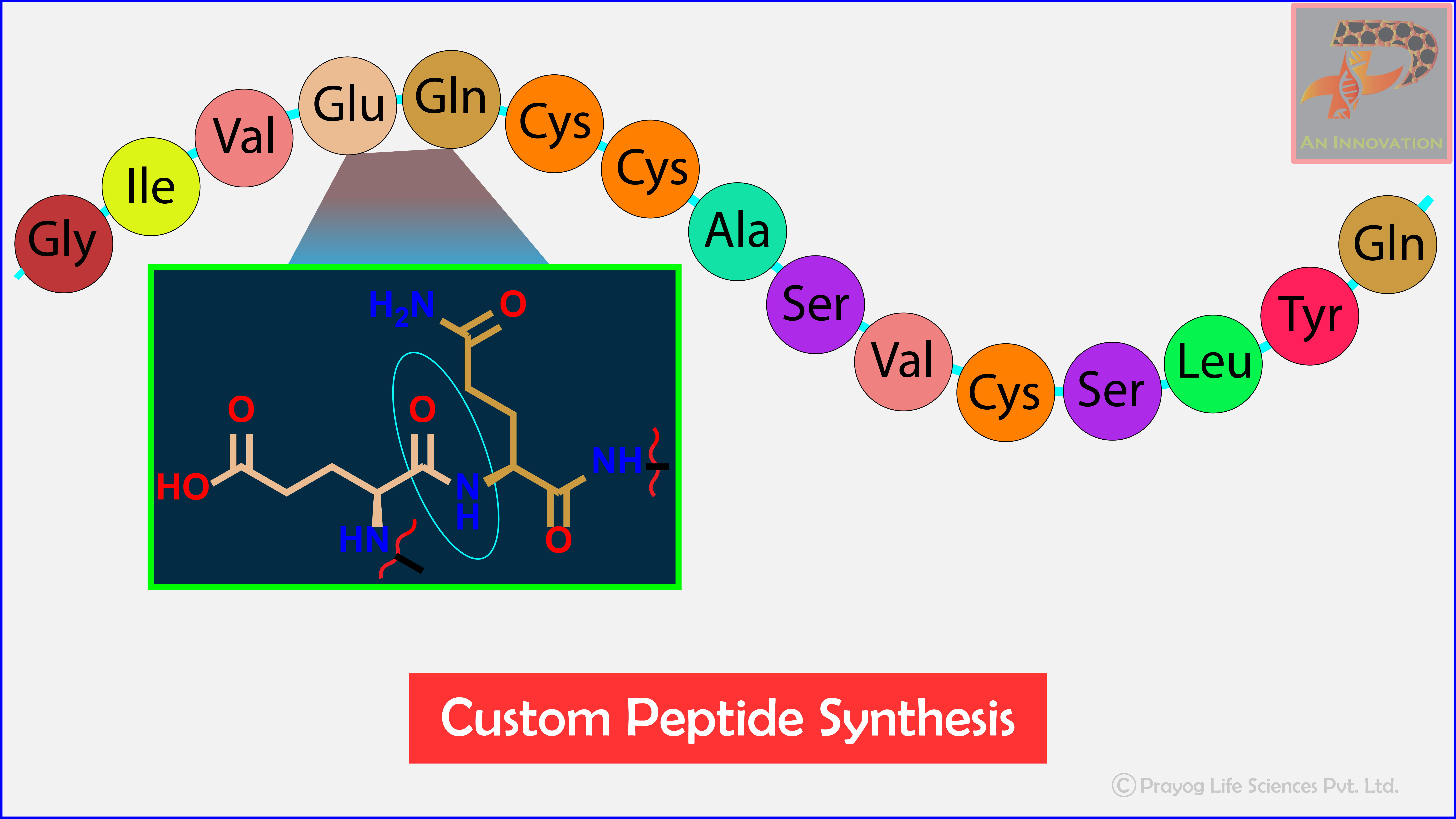 Peptides Synthesis nsj prayoglife
